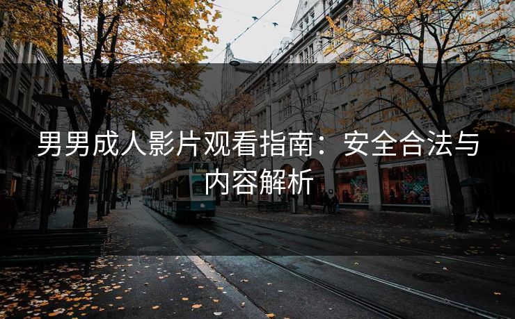 男男成人影片观看指南：安全合法与内容解析
