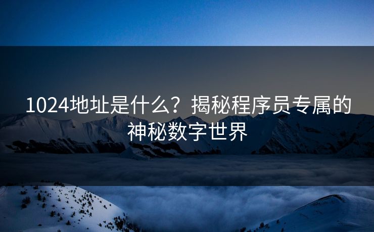 1024地址是什么？揭秘程序员专属的神秘数字世界