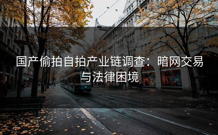 国产偷拍自拍产业链调查:暗网交易与法律困境