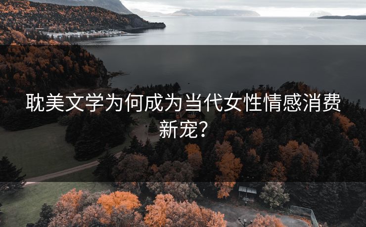 耽美文学为何成为当代女性情感消费新宠？