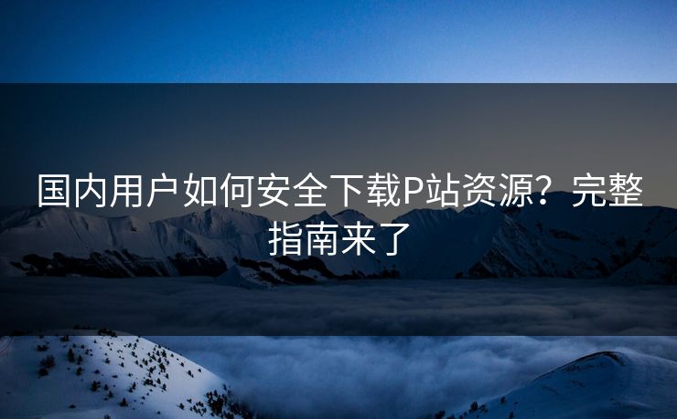 国内用户如何安全下载P站资源?完整指南来了