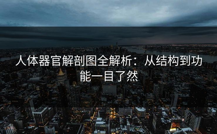 人体器官解剖图全解析:从结构到功能一目了然 人体器官解剖图全解析:从结构到功能一目了然